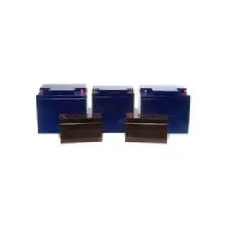 Batería de respaldo Edwards 12V17A de 12 V y 17 Ah